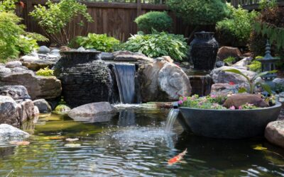 Serving the Broader Roanoke Valley Our Comprehensive Water Feature Service Area
