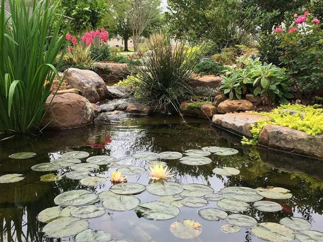 Creative Oasis - Pond Renovation