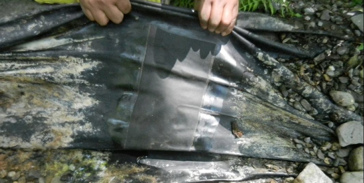 Creative Oasis – Pond Repair (2) Creative Oasis - Pond Repair