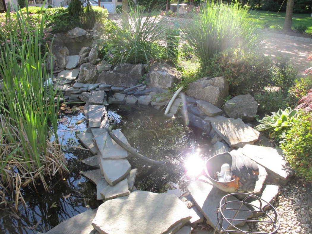 Creative Oasis - Pond Repair