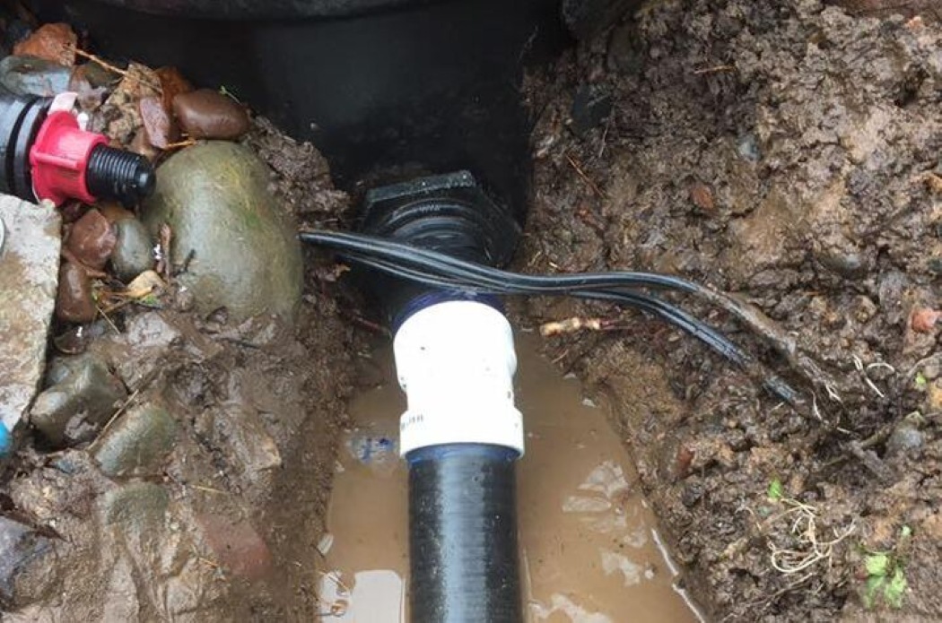 Creative Oasis - Pond Repair