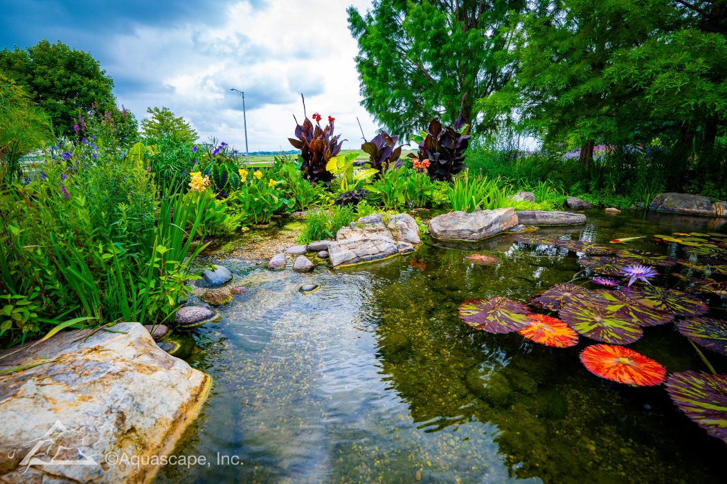 Creative Oasis LLC - Pond Maintenance