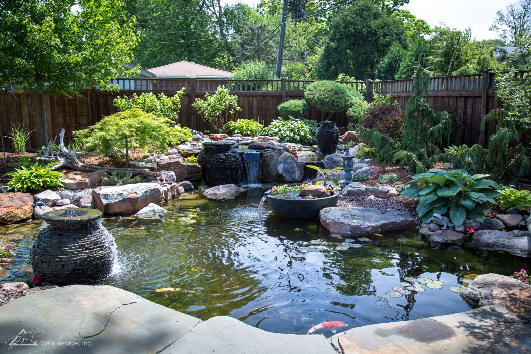 Pond Maintenance