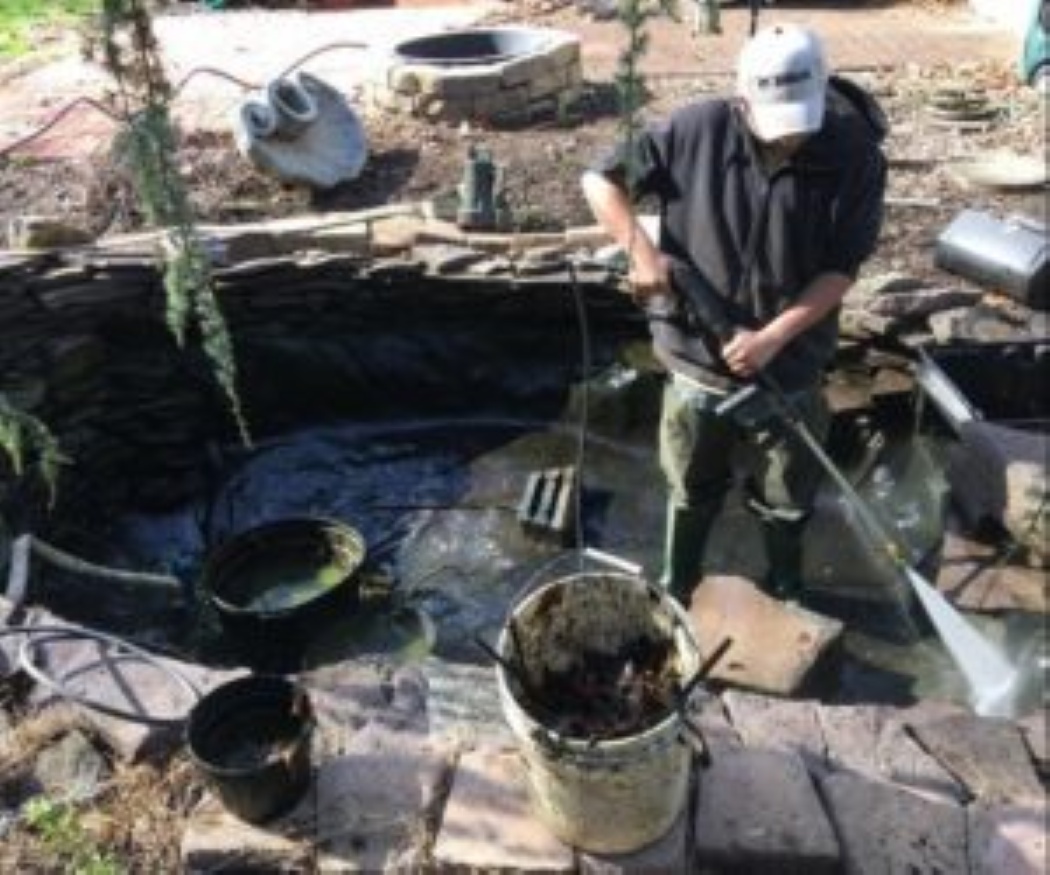 Pond Maintenance (5) Creative Oasis LLC - Pond Maintenance