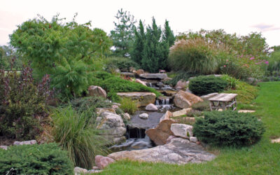 Pond Installation vs Pondless Waterfall: Which Water Feature is Right for Your Home?